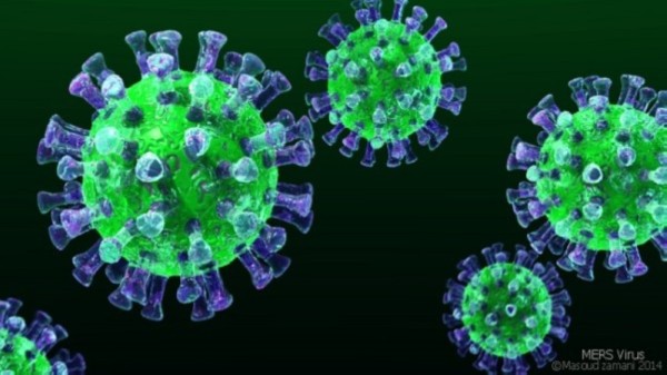 Slovenia becomes first coronavirus-free country in Europe