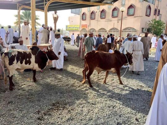 Eid Al Fitr Habta market cancelled in 2020: Sohar Municipality