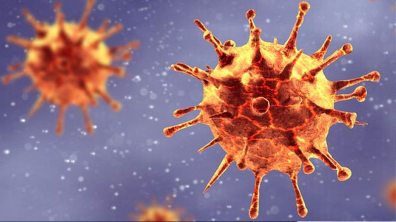 دراسة حديثة: فيروس كورونا تم التلاعب به في مختبر ووهان