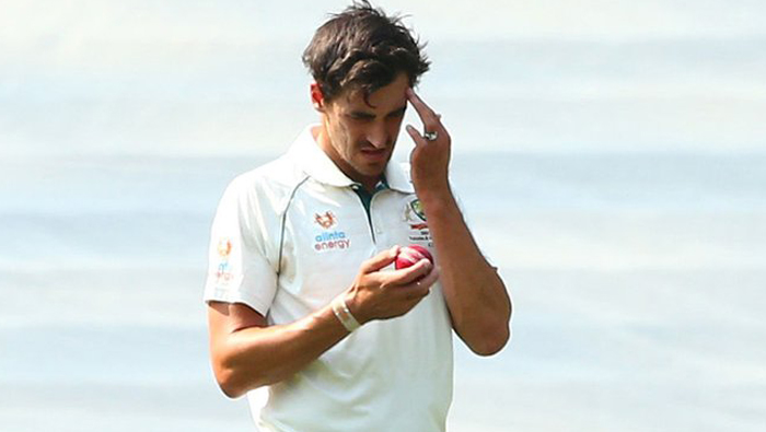 Mitchell Starc backs plan for pink-ball Tests against India