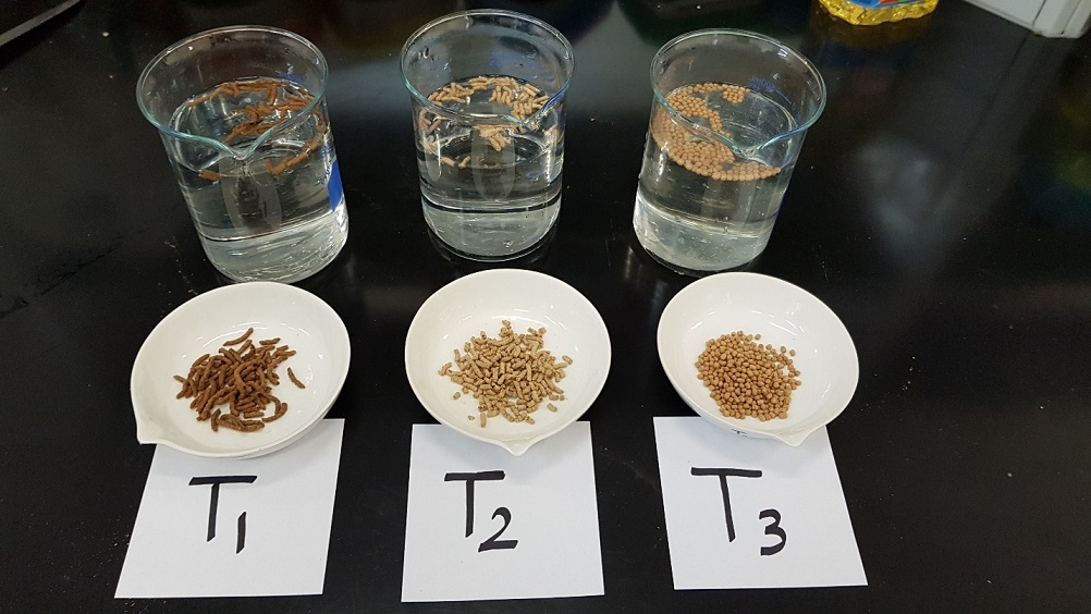 في انجاز كبير للسلطنة: دراستين عن زيادة الانتاج السمكي تحقق جائزة الأمن الغذائي العربي‎