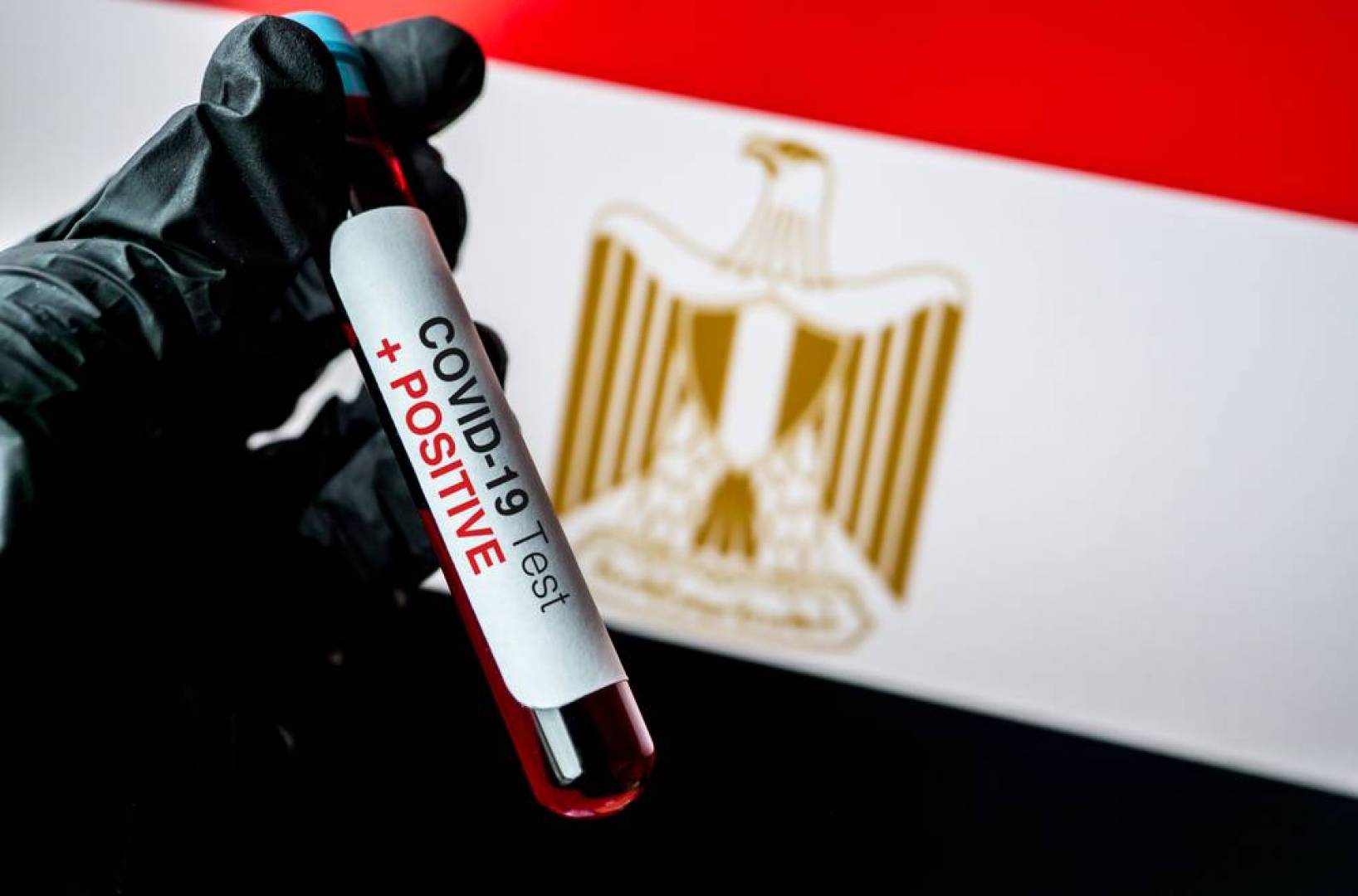 إصابات كورونا اليومية في مصر تتجاوز الـ 1000 حالة