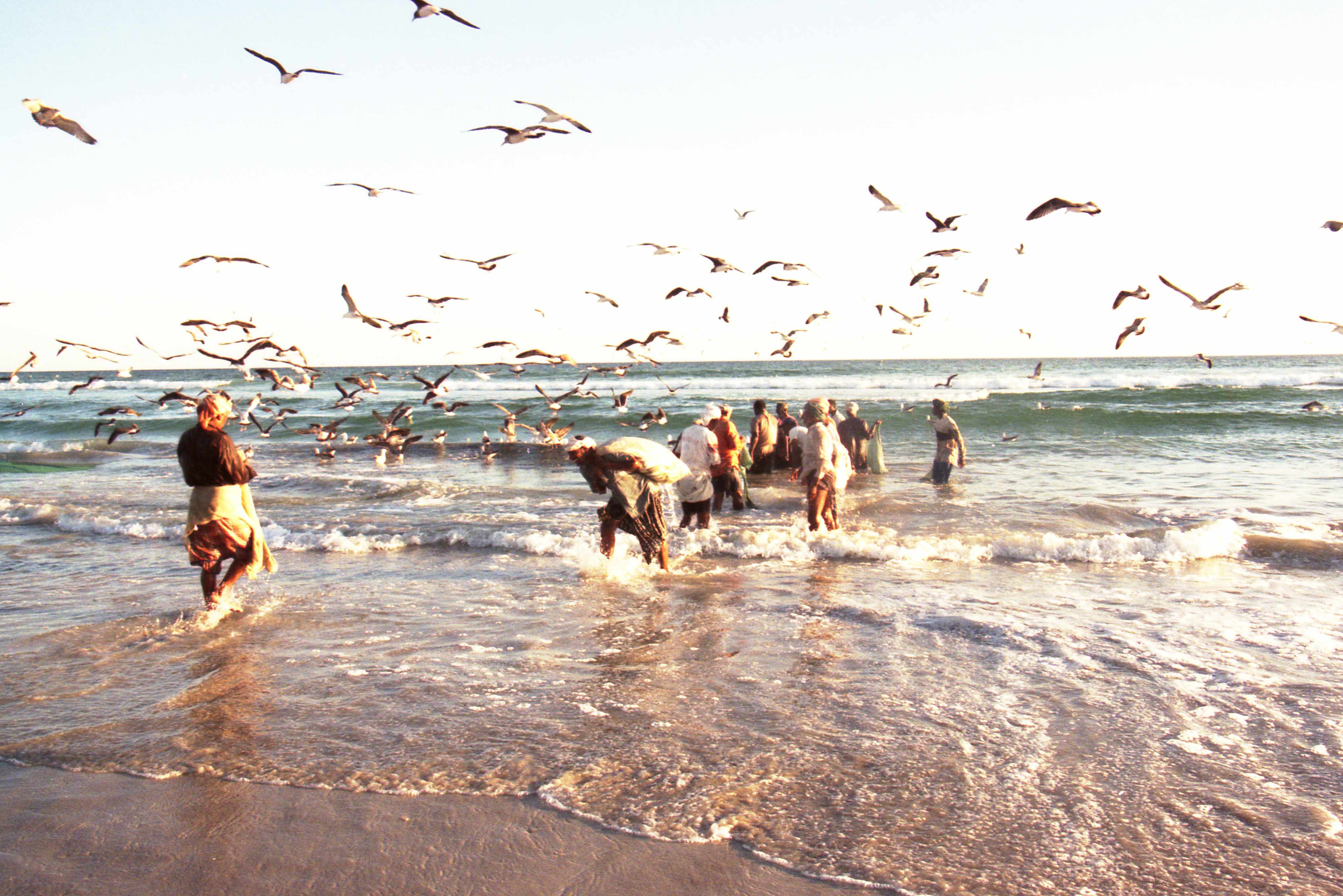 "عيد العلا" حدثاً إجتماعيا ينتظره أبناء محافظة ظفار ..تعرف عليه