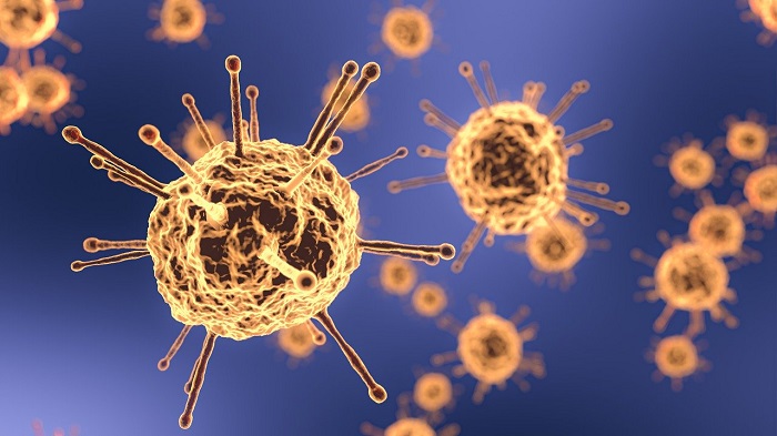Coronavirus: Oman's Health Minister discusses increase in cases