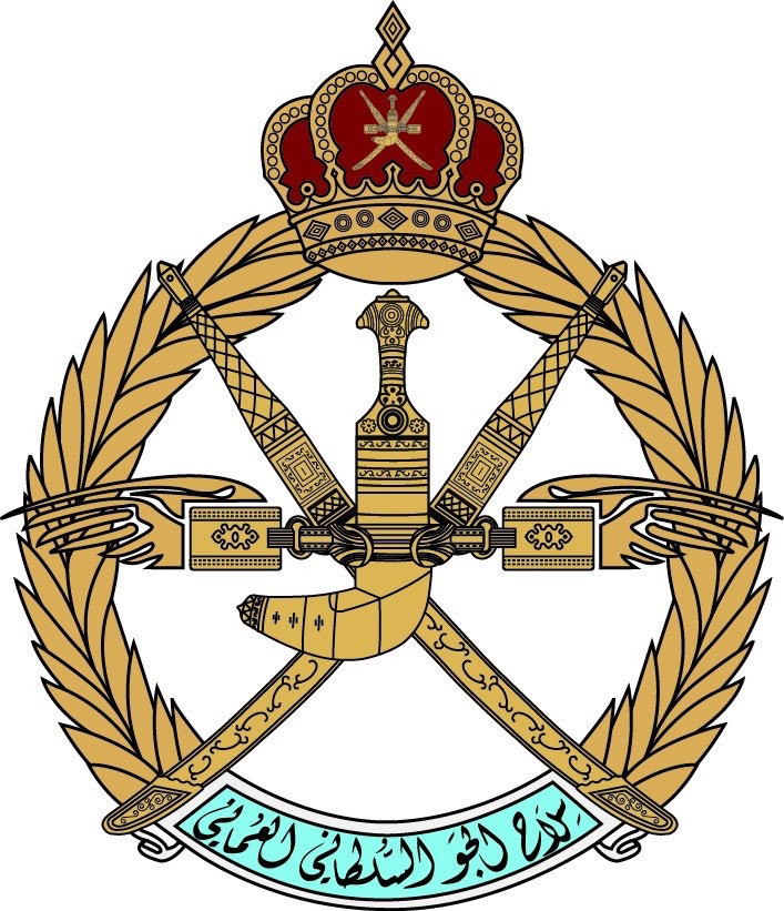 Royal Air Force of Oman conducts medical evacuation