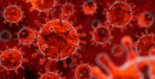 Is life-saving drug for coronavirus found?