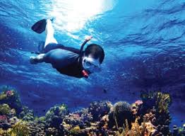 Ministry of Environment allows diving activities with permit