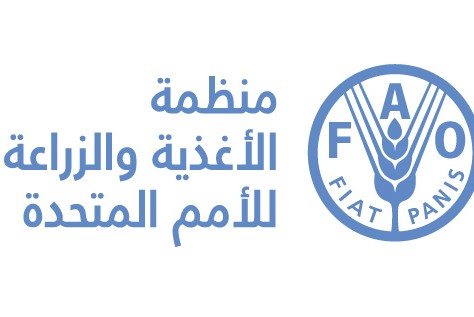 "الفاو" تشيد بجهود السلطنة في إدارة التسويق السمكي في ظل جائحة كورونا‎