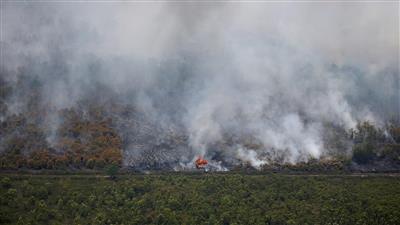 حالة الطوارئ في إندونيسيا بسبب حرائق الغابات