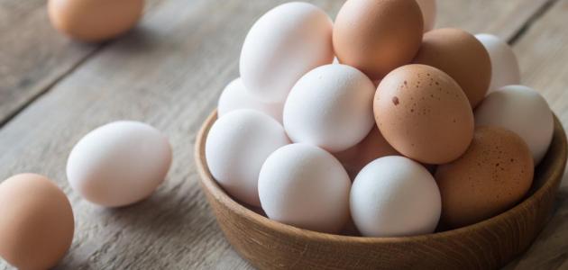 أبرز مؤشرات إنتاج البيض في السلطنة عام 2019