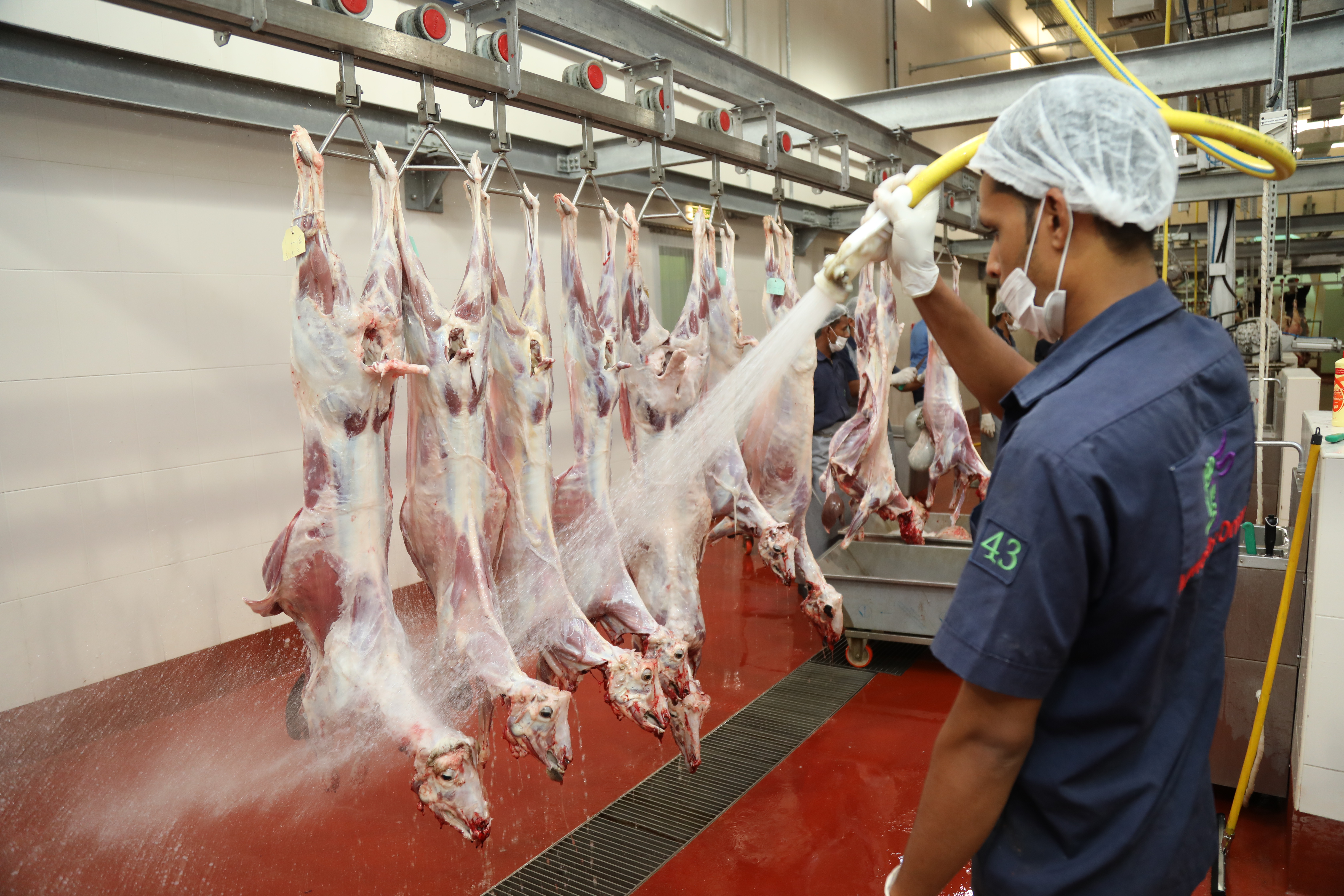 Municipality changes Muscat slaughterhouse timings in line with movement ban