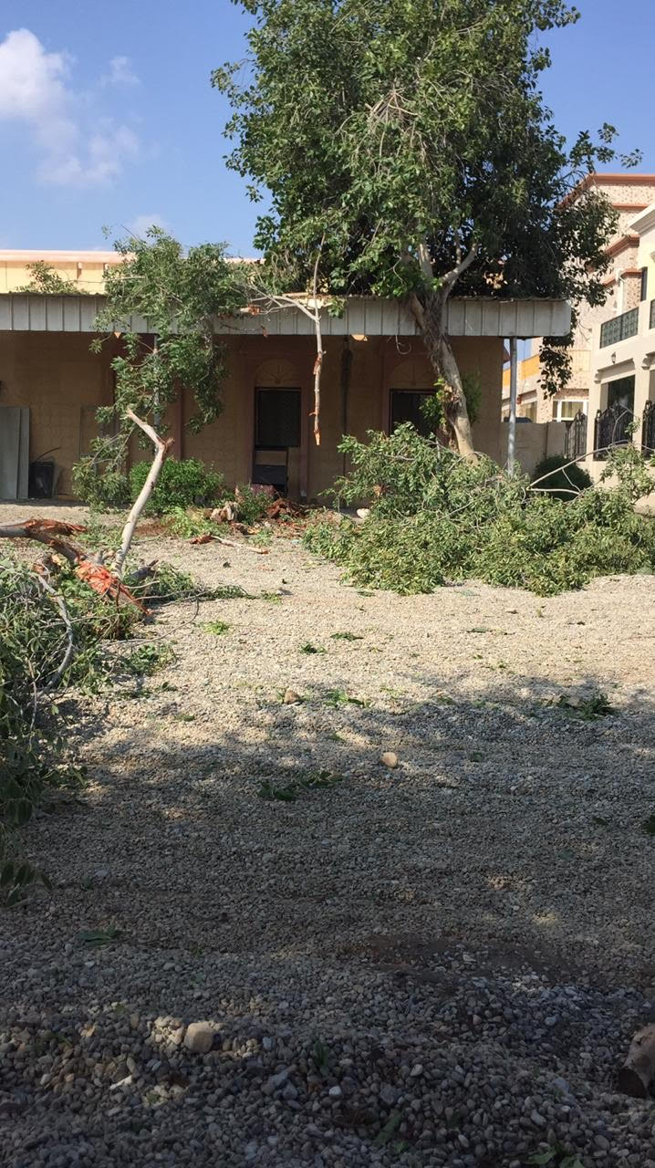 65 حيازة غير قانونية تمت أزالتها بمحافظــة شــمال الباطنــة