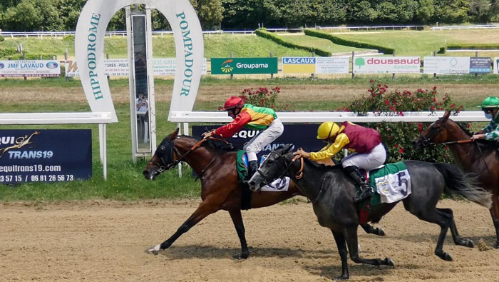 'Al Sayyad' of Royal Cavalry wins first place in France