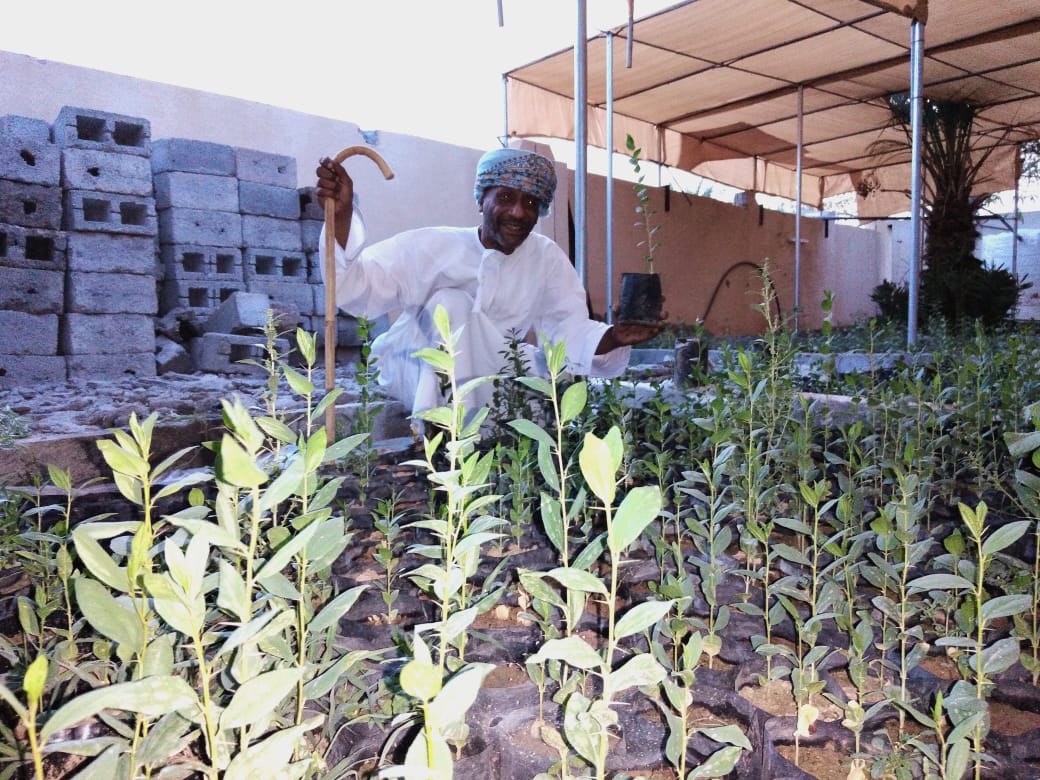 Citizen donates 3000 seedlings to National Initiative