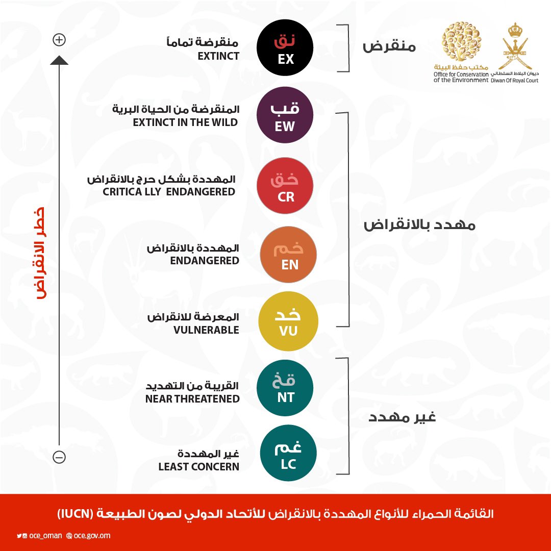 القائمة الحمراء للحيوانات المهددة بالانقراض في السلطنة