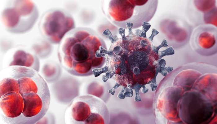 انتشار سلالة جديدة من فيروس كورونا