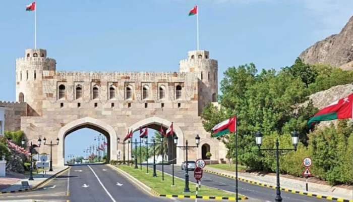 بالدمج والتعديل والإلغاء.. هذه الكيانات الحكومية لم تعد موجودة