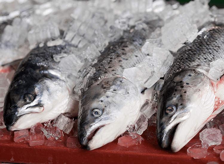 Fish markets open across Oman