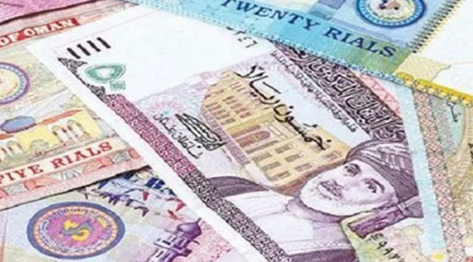 متى يوقف صرف المنفعة في نظام الأمان الوظيفي؟