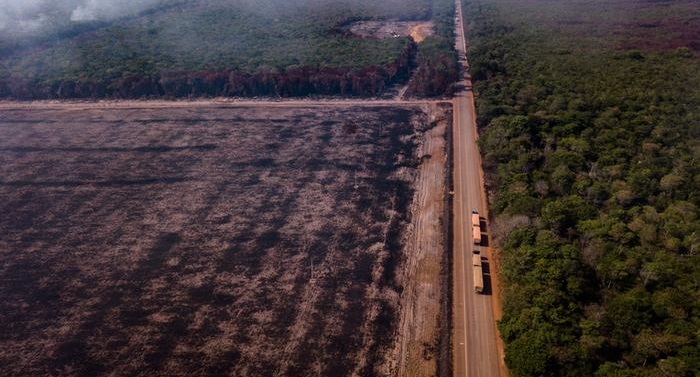 Amazon rainforests sets new record fires in July
