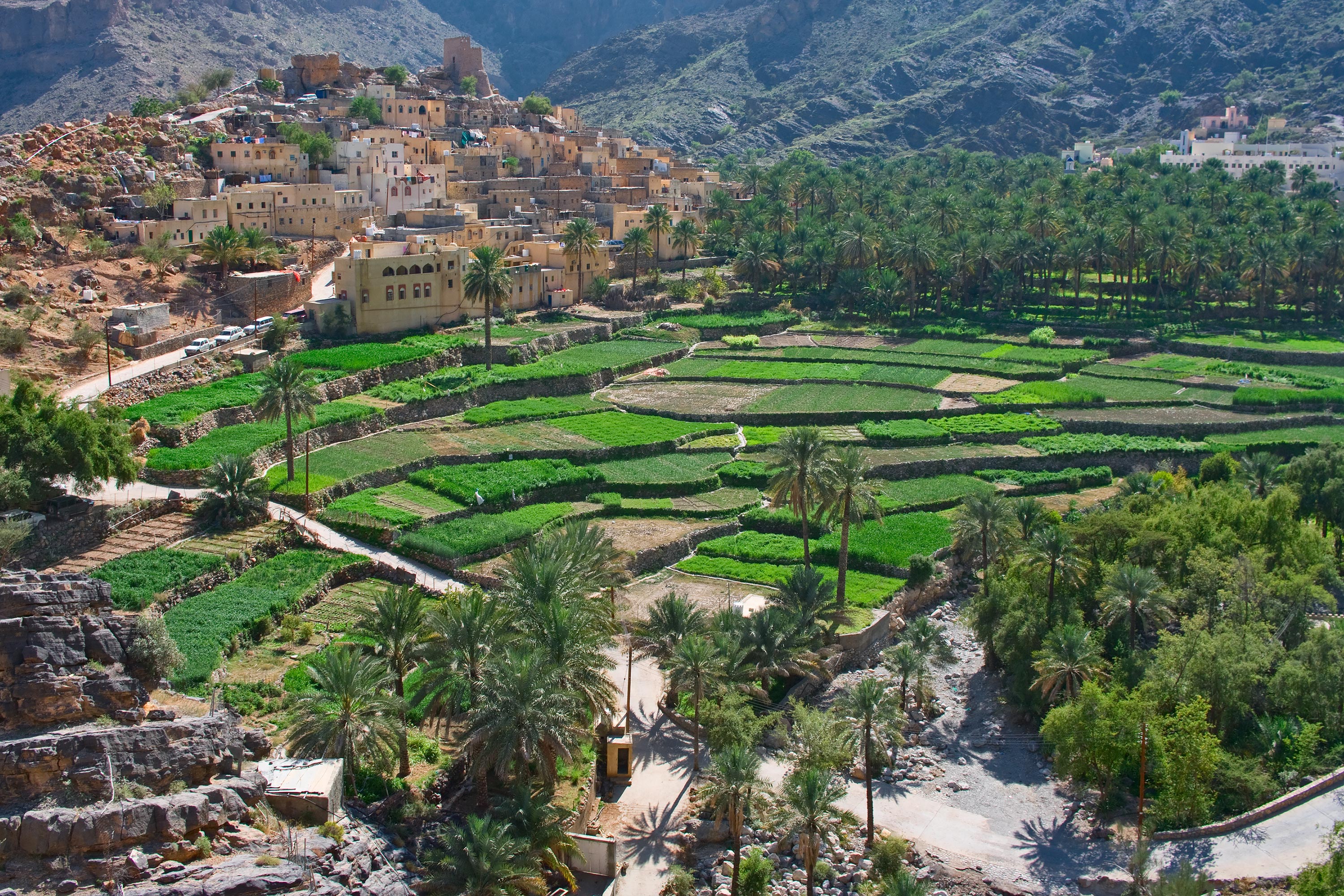 Cultivated area in Oman has increased