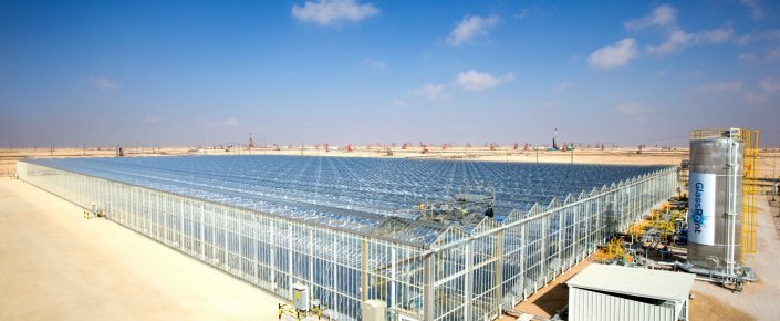 تقرير: عمان تنوع أقتصادها بالطاقة المتجددة