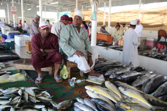 Over 317,000 tons of fish landed by artisanal fishing in Oman