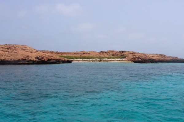 These islands in Oman are home to rare coral reefs