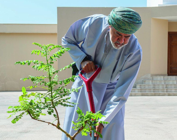 In Pictures: HM plants frankincense tree in Salalah