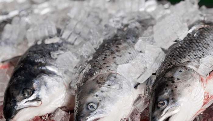 Central fish market, port market to open in Wilayat Saham