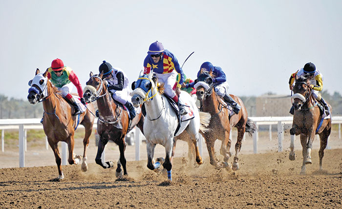 Preserving Oman's equestrian sports