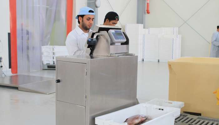 بدء العمل في مشروع التسويق الإلكتروني في الأسواق السمكية