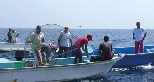 الوسطى تتصدر الصيد الحرفي.. أكثر من 388.3 ألف طن إجمالي الأسماك المنزلة