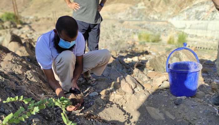 Environment Authority tries new irrigation method to cultivate wild trees in Oman