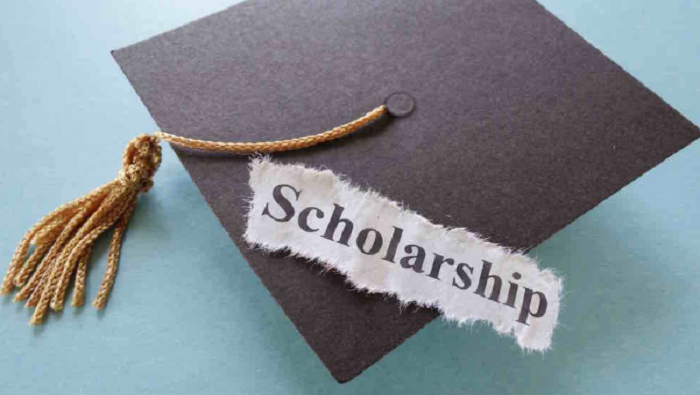 Scholarships announced for bachelors degree in Egypt