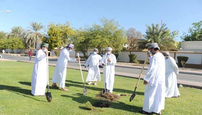 'Tree day' celebrated in Sohar