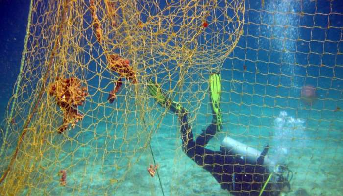 Fishing net removal campaign concludes at nature reserve in Oman