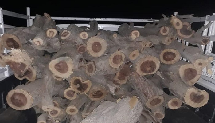 Vehicle loaded with illegally cut firewood seized in Oman