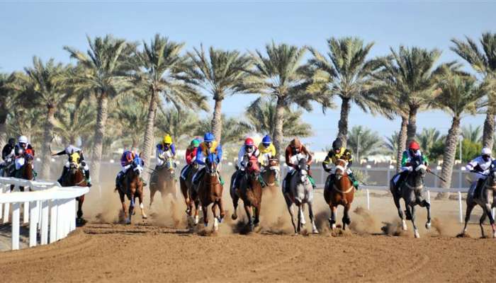 Horse race organised at Al Rahba Racecourse