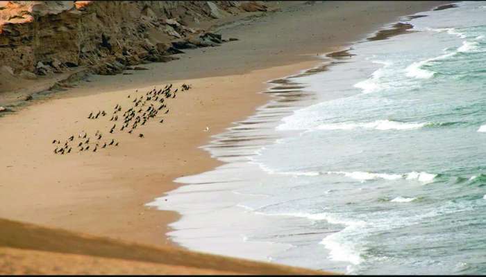 Salalah Beach named among 30 best beaches in the world