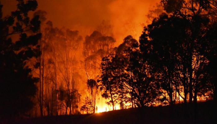 حريق غابات استراليا يدمر 30 منزلًا