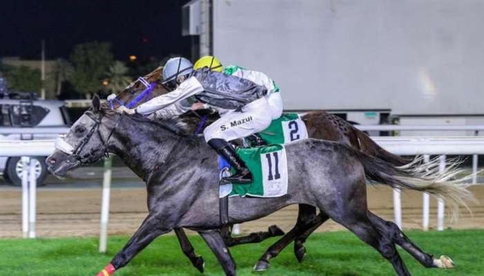 الحصانان شجاع مسقط وهيروس دي لجارد يحققان المركز الأول في سباق للفروسية بأبوظبي
