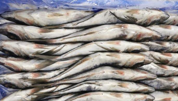 Oman Fisheries Company reopens fish factory