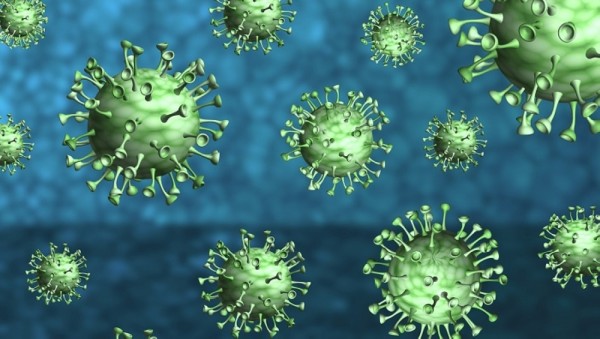 WHO deems Coronavirus a long-term virus