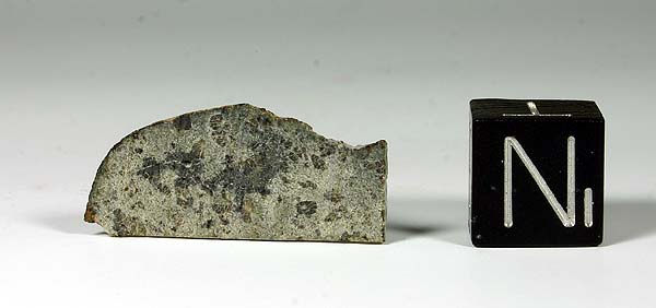 Meteorite that fell in Oman, sent back to Mars