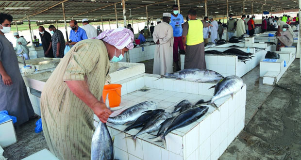 نقل سوق الأسماك بالسيب إلى ميناء الصيد البحري