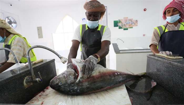 بدء التشغيل في سوق الأسماك بولاية جعلان بني بوعلي