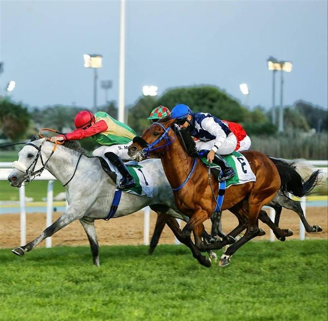 حصان للخيالة السلطانية يُحرز المركز الأول على مضمار أبوظبي