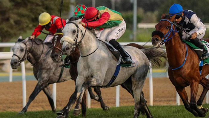 Oman’s Royal Cavalry horse wins first place