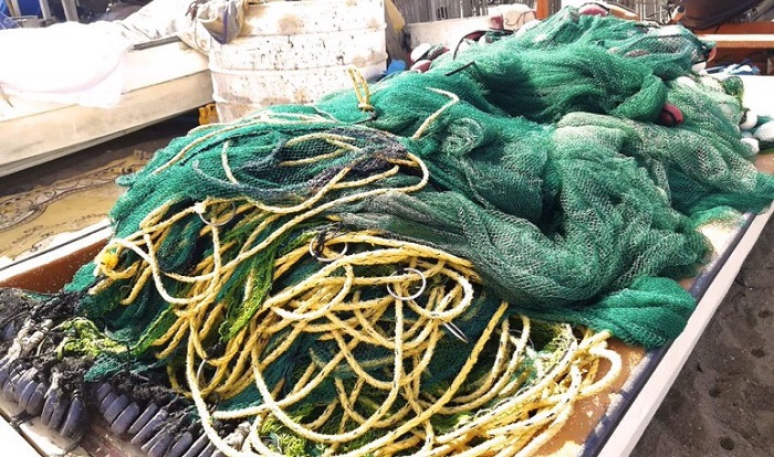 400 expatriate workers arrested in Oman for fishery law violations